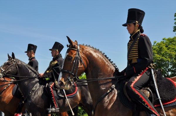Schwerin Festumzug   050.jpg